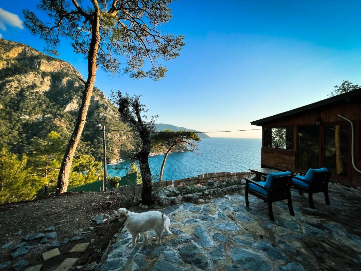 Kabak Uetopya Kamp Faralya Extérieur photo
