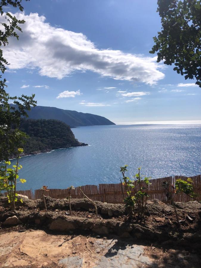 Kabak Uetopya Kamp Faralya Extérieur photo